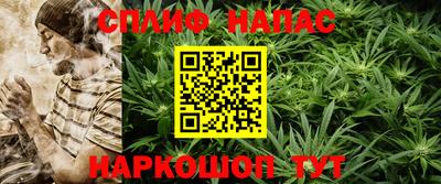 спиды Будённовск